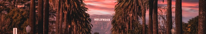 Sunset photo of Hollywood sign and palm trees